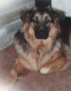 kaiser